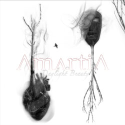 Amartia - Daylight Beauty
