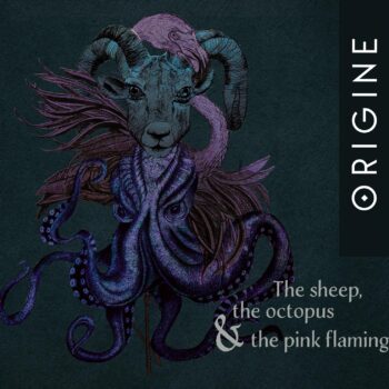 Origine - The Sheep, The Octopus and the Pink Flamingo