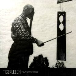 TIGERLEECH - Melancholy Bridge