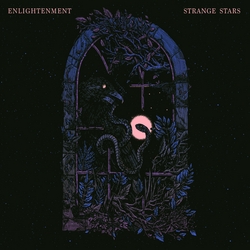 Strange Stars